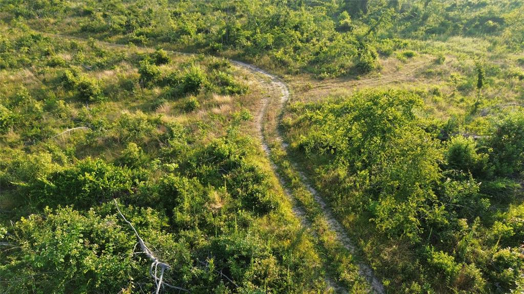 40 Acres Ross Mountain Road Property Photo 34