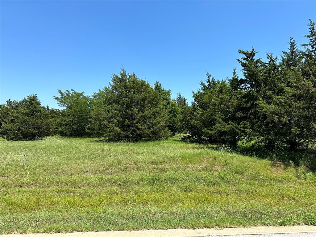 Tbd La Paloma Property Photo 1
