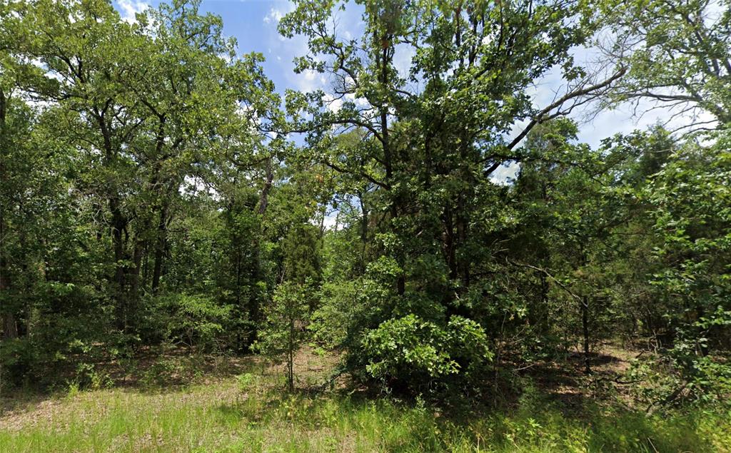 Tba Lot 1550 Goliad Property Photo