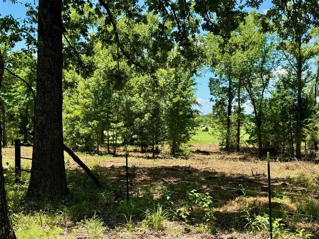 Tbd County Road 4230 Property Photo 1