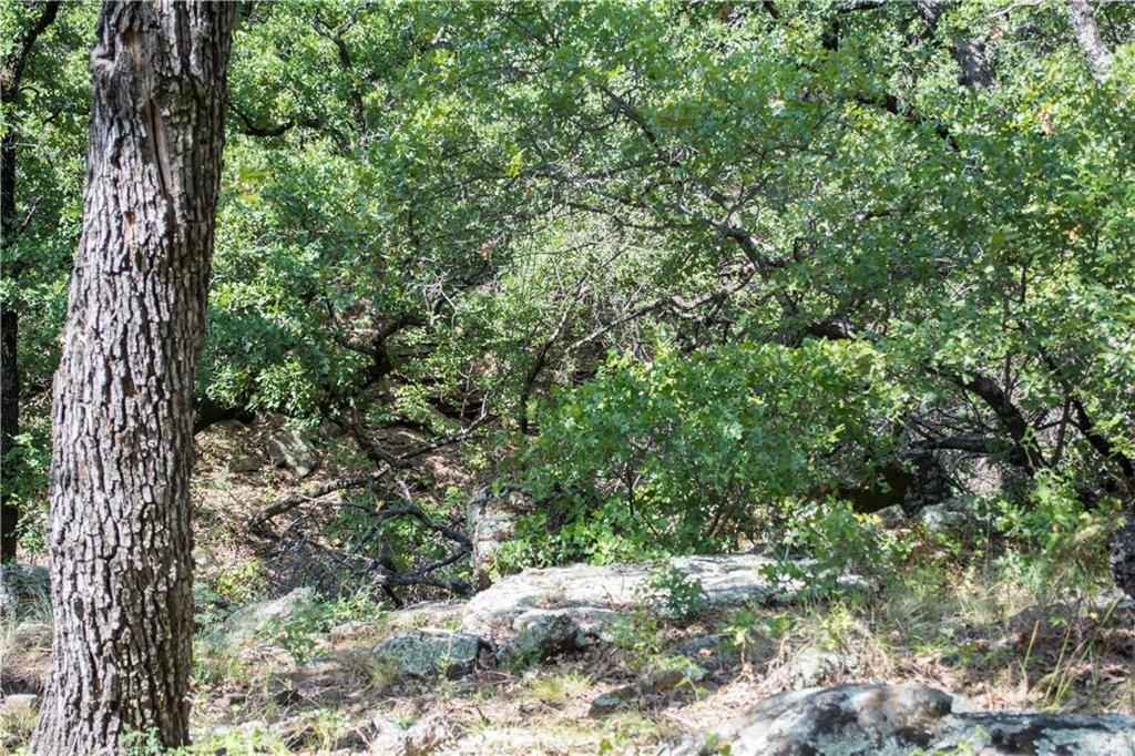 E48 Arts Way Property Photo 6