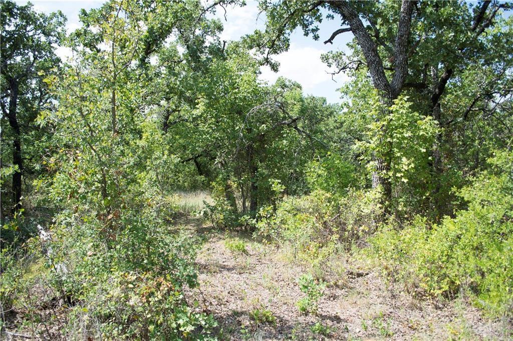 E48 Arts Way Property Photo 15