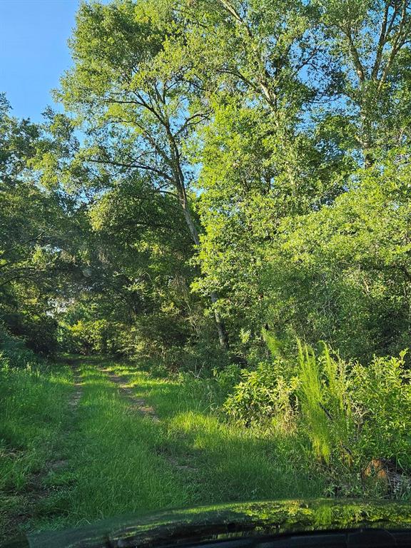 29641 Squirrel Dr Property Photo 1