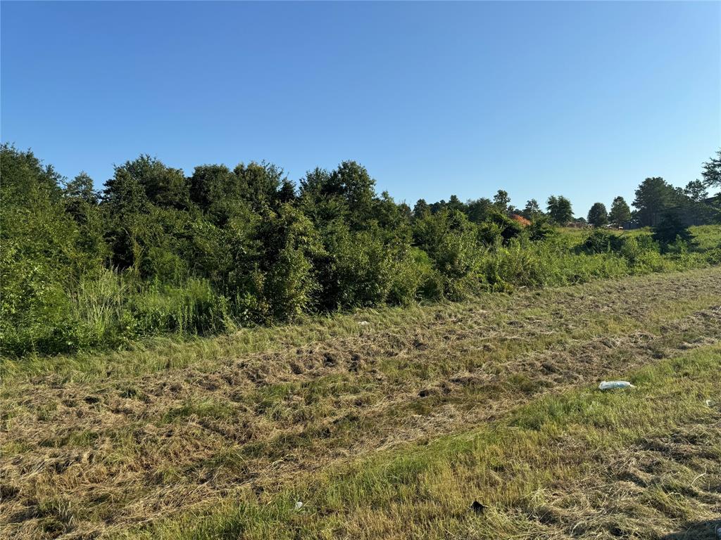 20768 State Highway 155 Property Photo 8