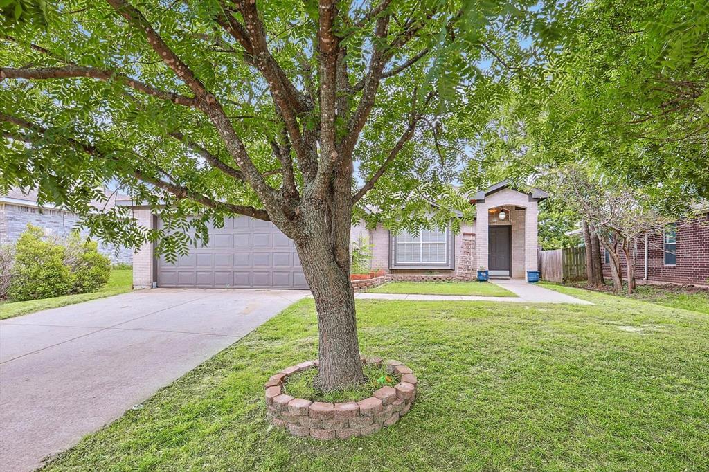 816 Cruise Street Property Photo 3