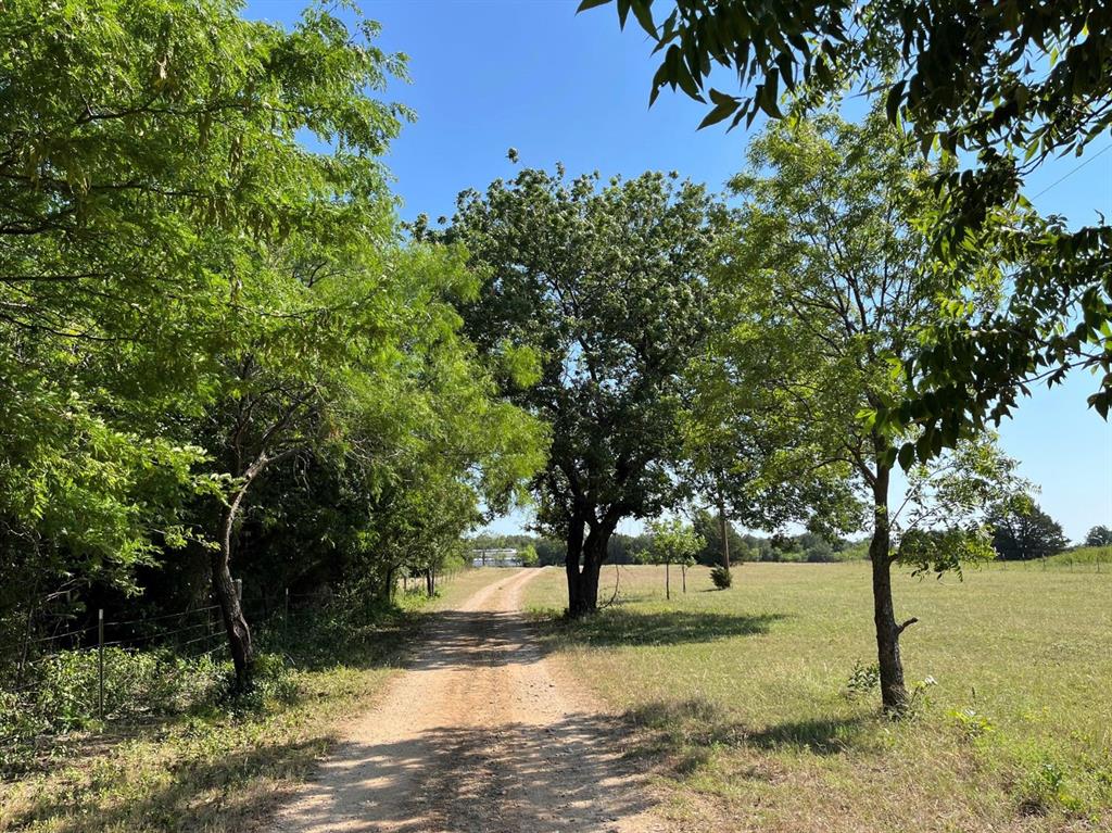 299 Private Road 1452 Property Photo 4