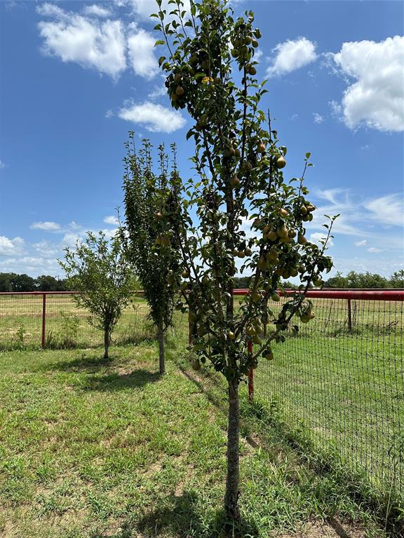 2199 County Road 3304 Property Photo 11
