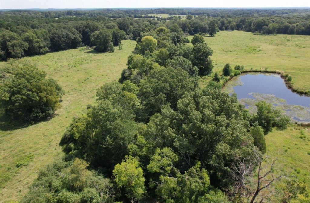 Tbd-a County Road 4037 Property Photo 1