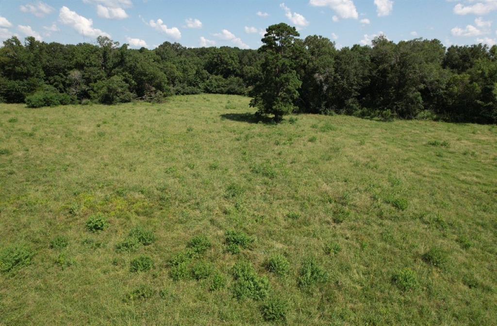 Tbd-b Cr 4037 Property Photo 9