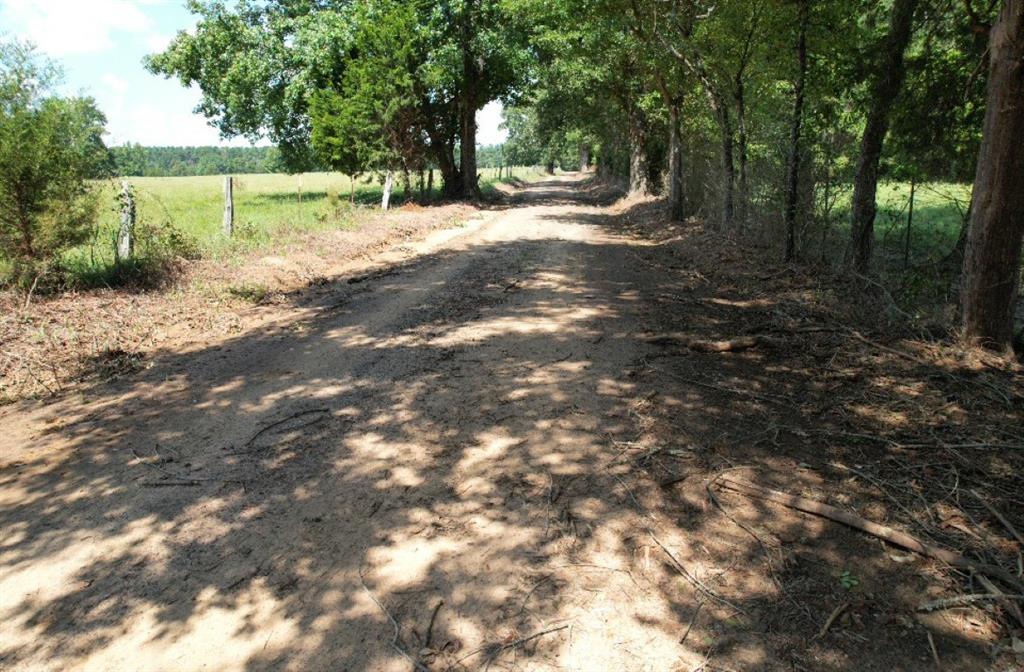 Tbd-b Cr 4037 Property Photo 17