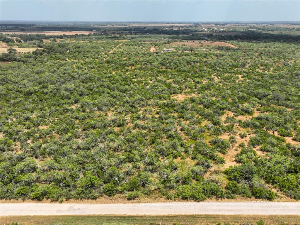 Lot 29 Cr 124 Property Photo 5