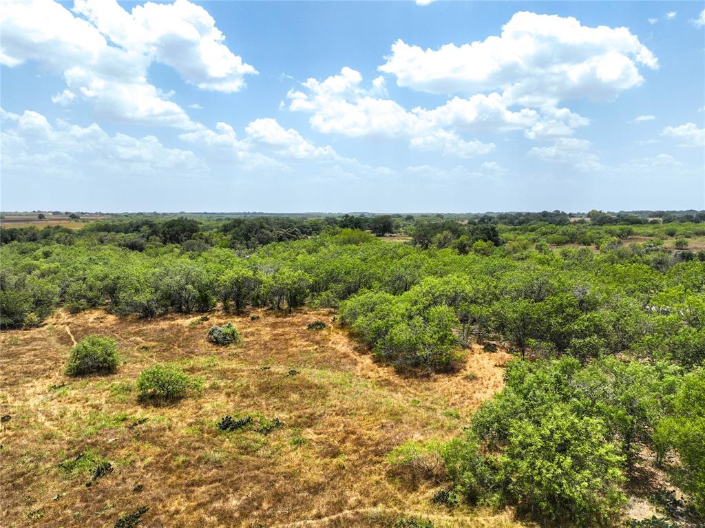 Lot 16 Cr 124 Property Photo 3