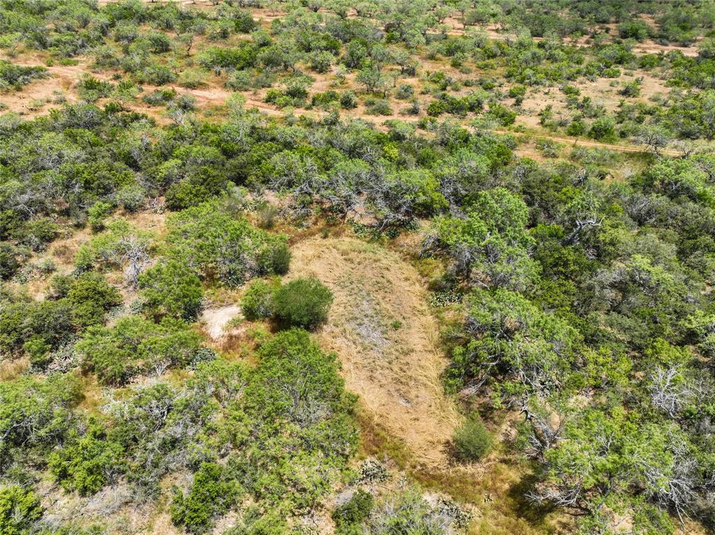 Lot 16 Cr 124 Property Photo 6