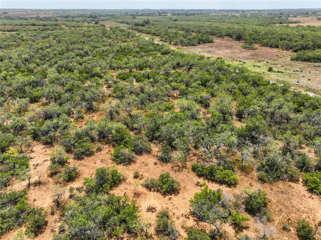 Lot 16 Cr 124 Property Photo 7
