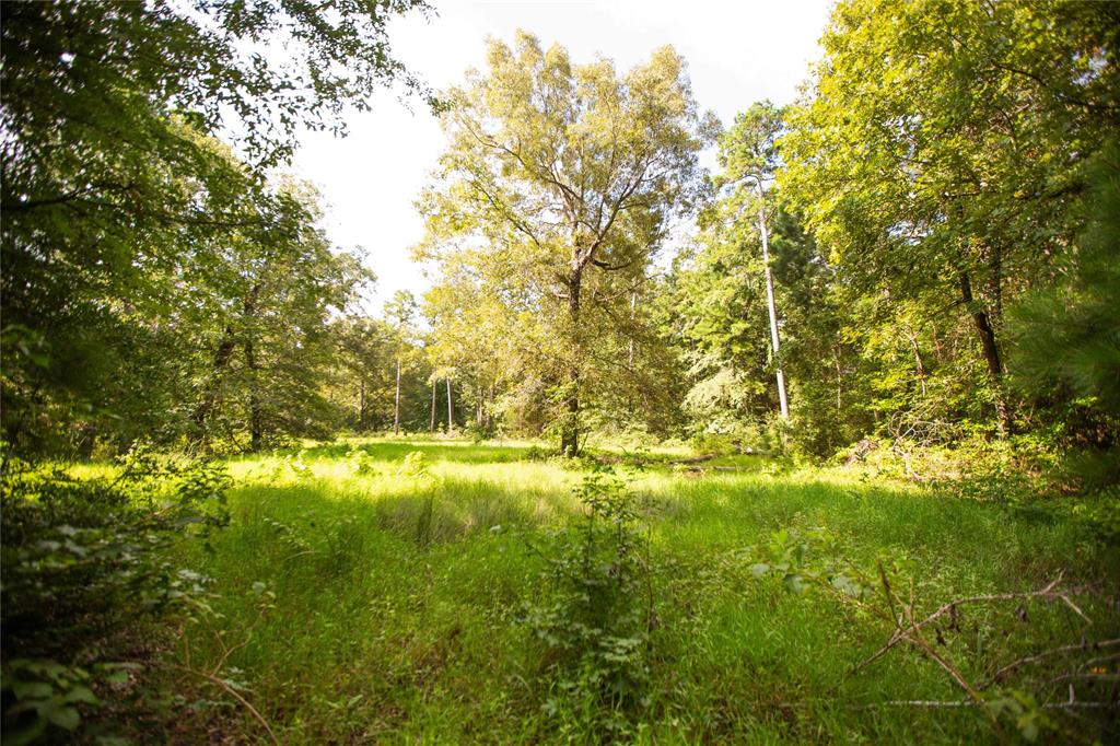 0 An County Road 185 Property Photo