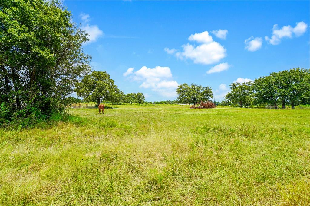 706 Us Hwy 84 W Property Photo 27