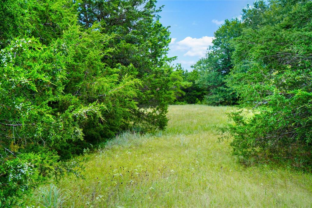 706 Us Hwy 84 W Property Photo 31