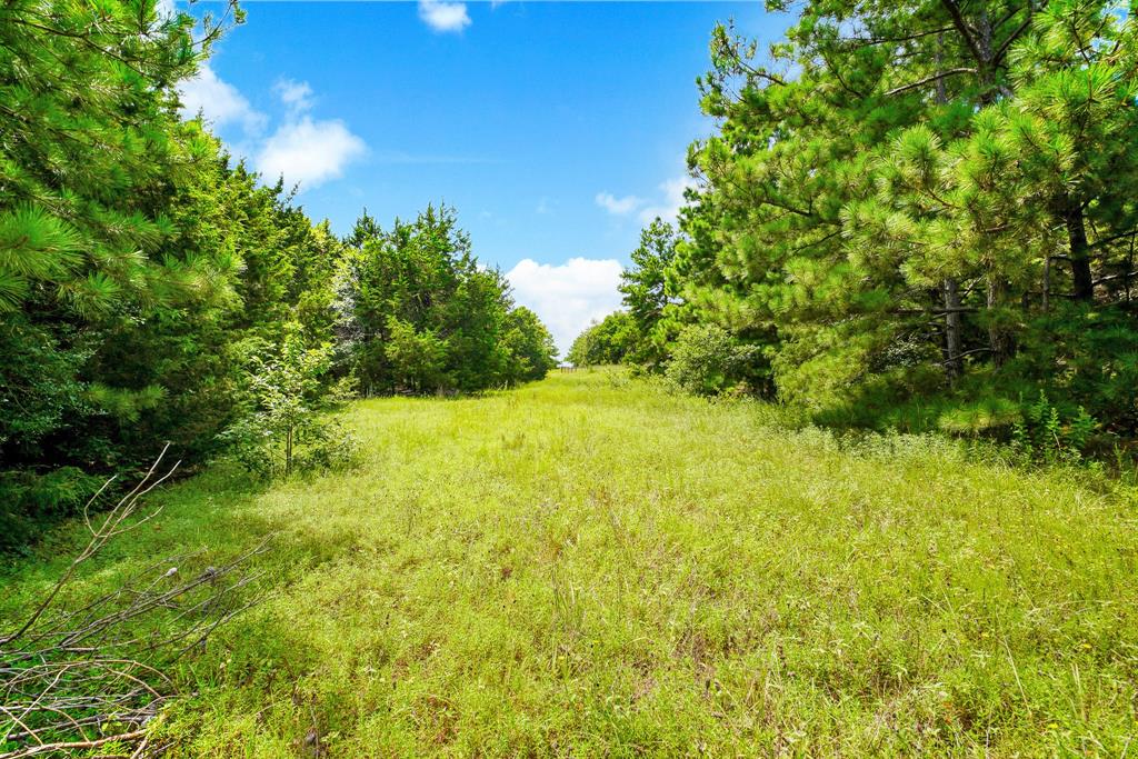 706 Us Hwy 84 W Property Photo 32