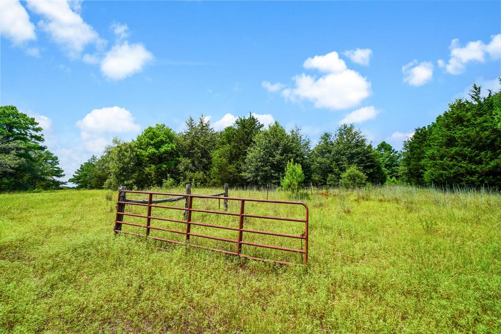 706 Us Hwy 84 W Property Photo 33