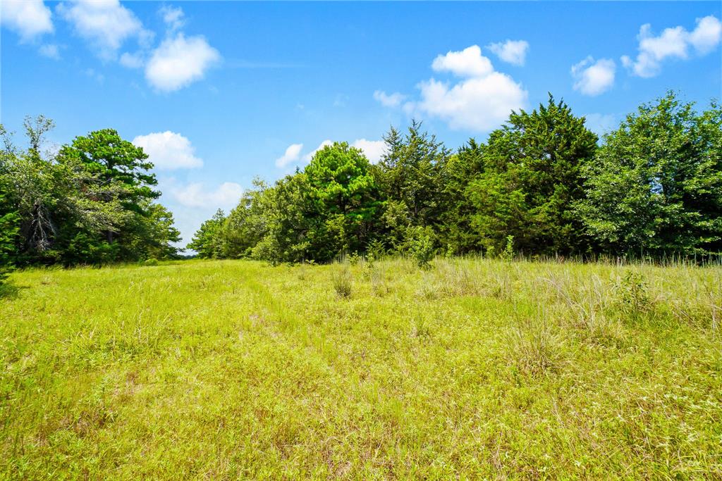 706 Us Hwy 84 W Property Photo 34