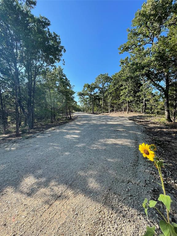 208 Red Top Road Property Photo 7