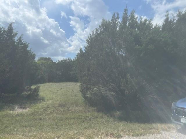 14048 Sandy Oaks Drive Property Photo 1