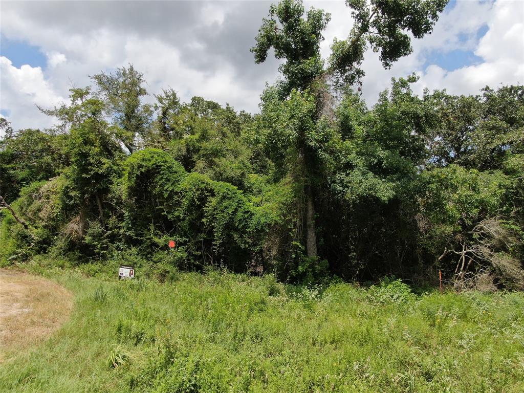 1 County Road 411 Property Photo 6