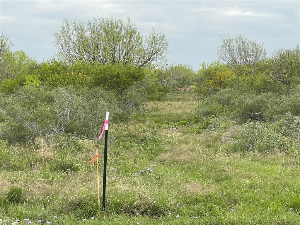 Lot 7 Pr Frio Esates Drive Property Photo