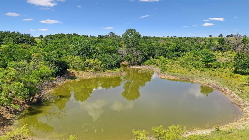 Tbd County Road 406 Property Photo