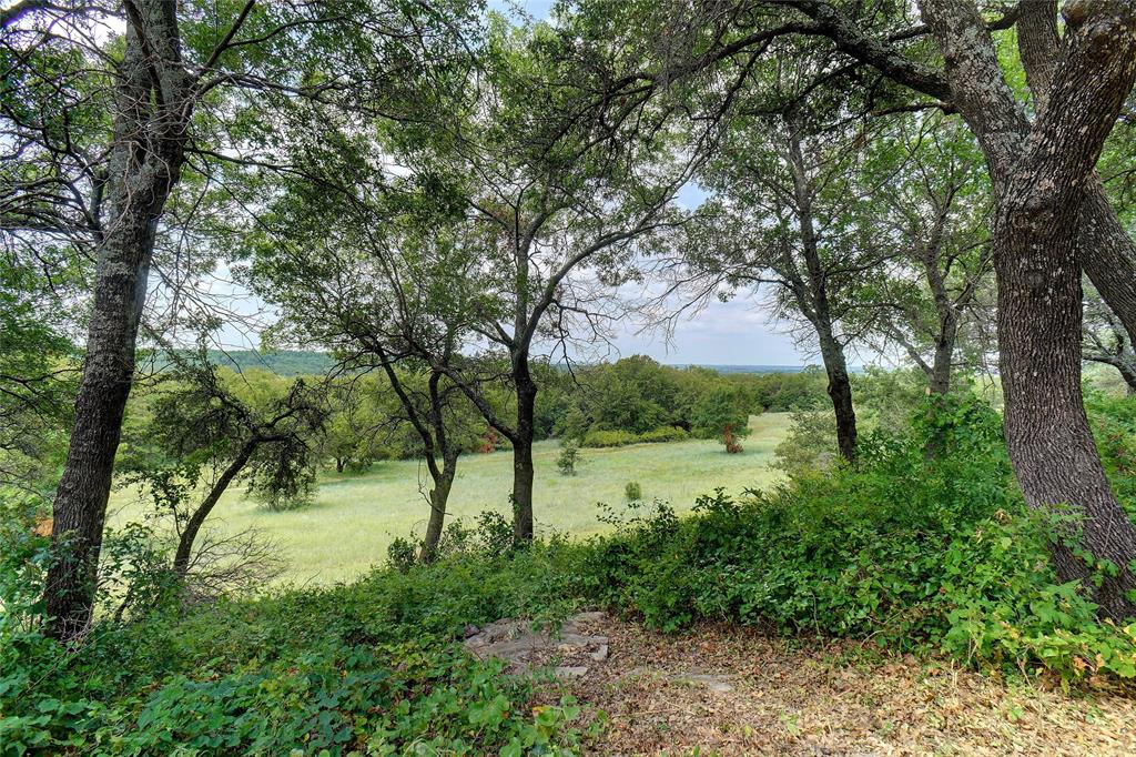 18748 Fm 455 Property Photo 23