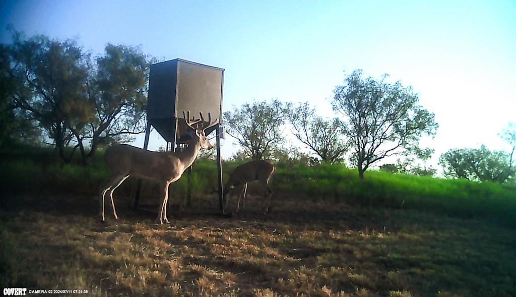 2267 County Road 414 Property Photo 29