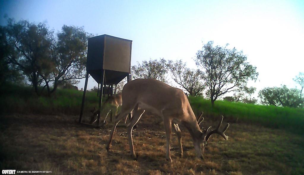 2267 County Road 414 Property Photo 30