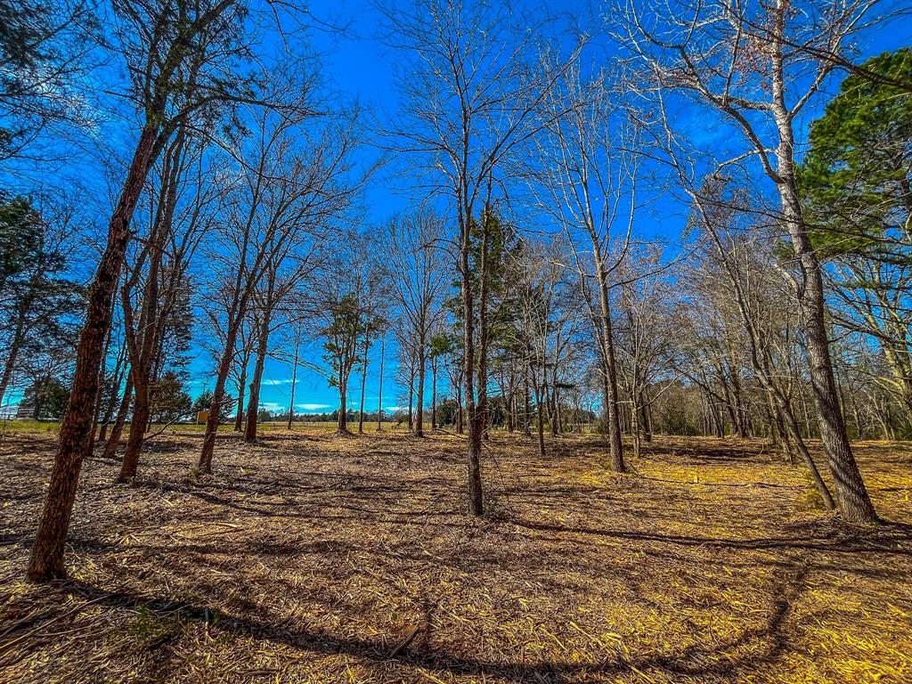 Tract 1 County Road 1713 Property Photo 8