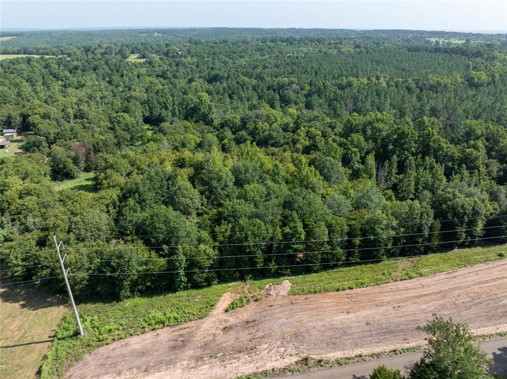 Tract 1 County Road 1713 Property Photo 10