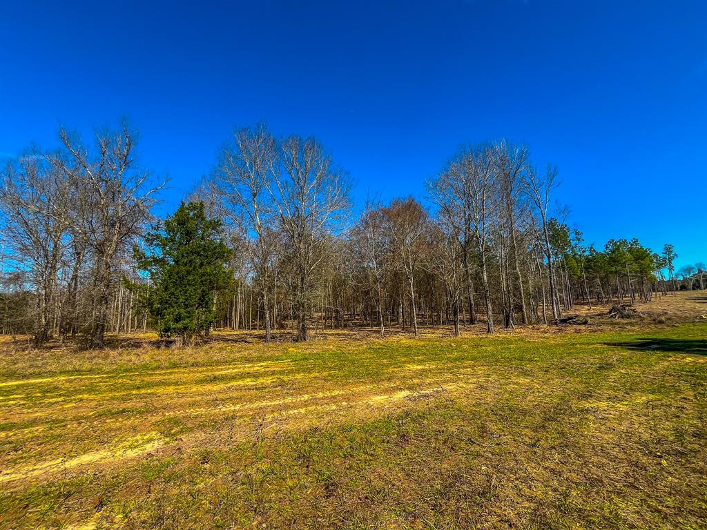 Tract 3 County Road 1713 Property Photo