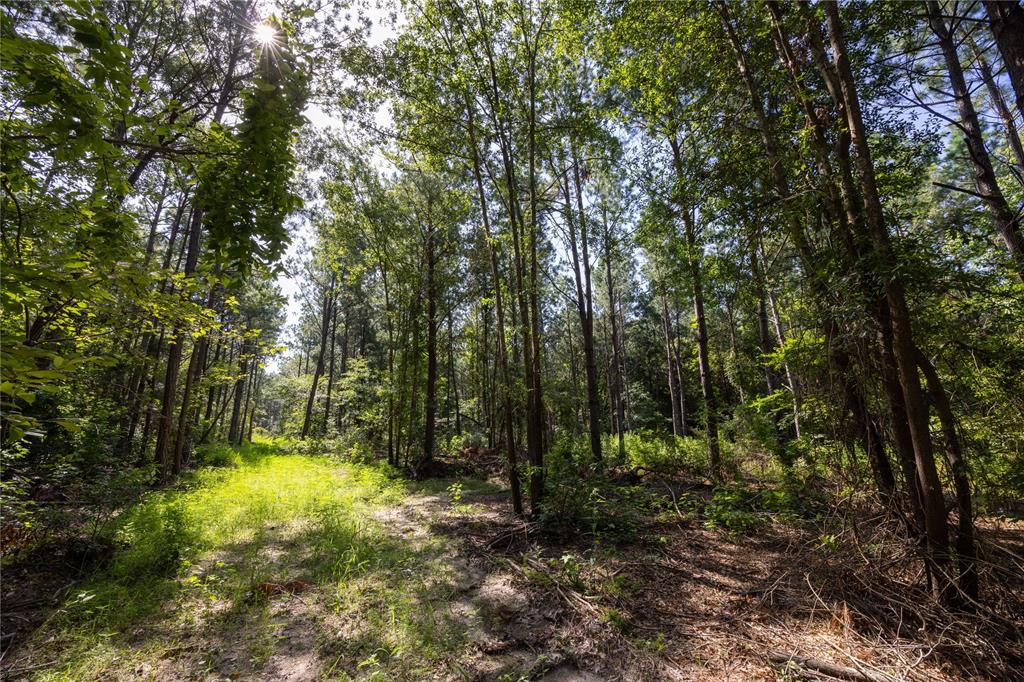 Tract 3 County Road 1713 Property Photo 7