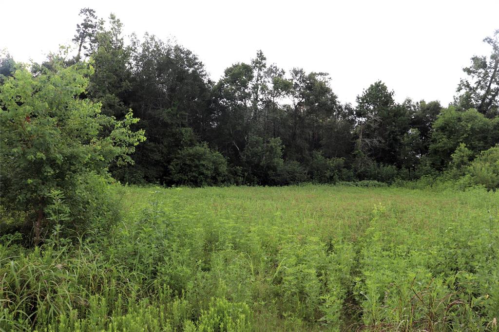 2.8 Ac Hwy 90 Property Photo 2