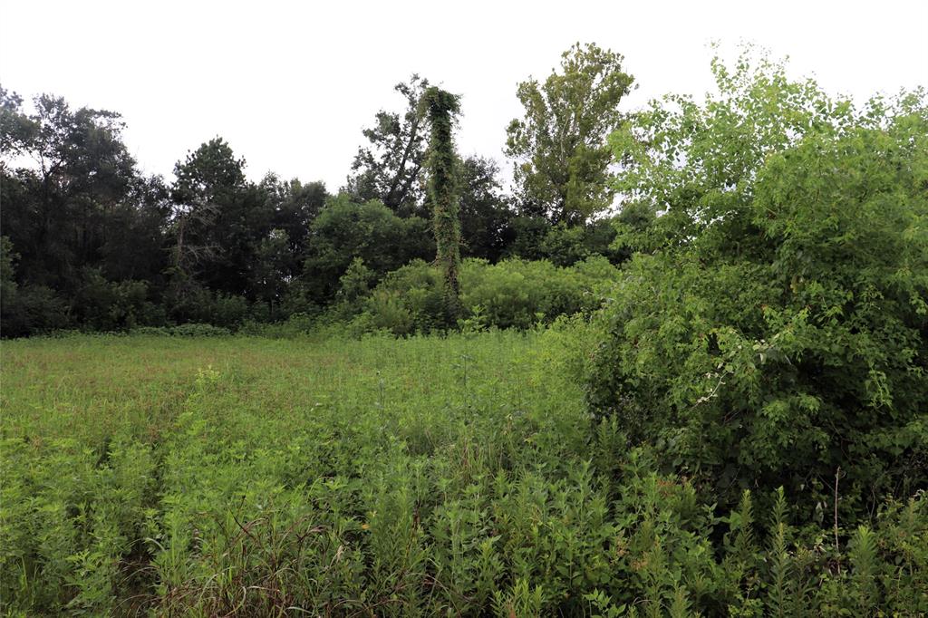 2.8 Ac Hwy 90 Property Photo 3