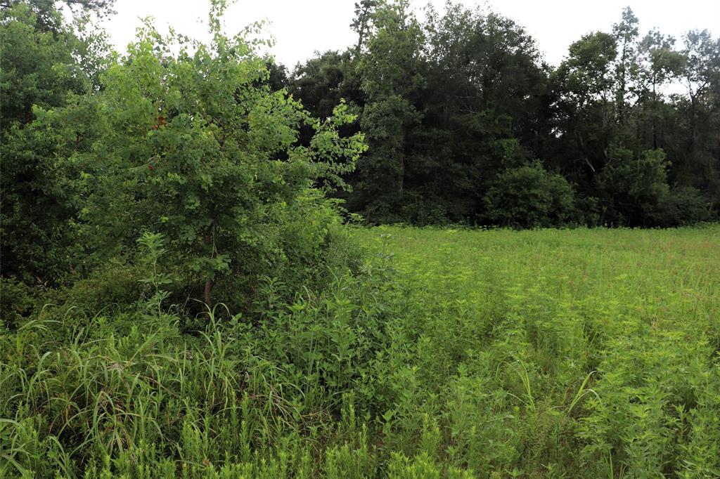 2.8 Ac Hwy 90 Property Photo 4