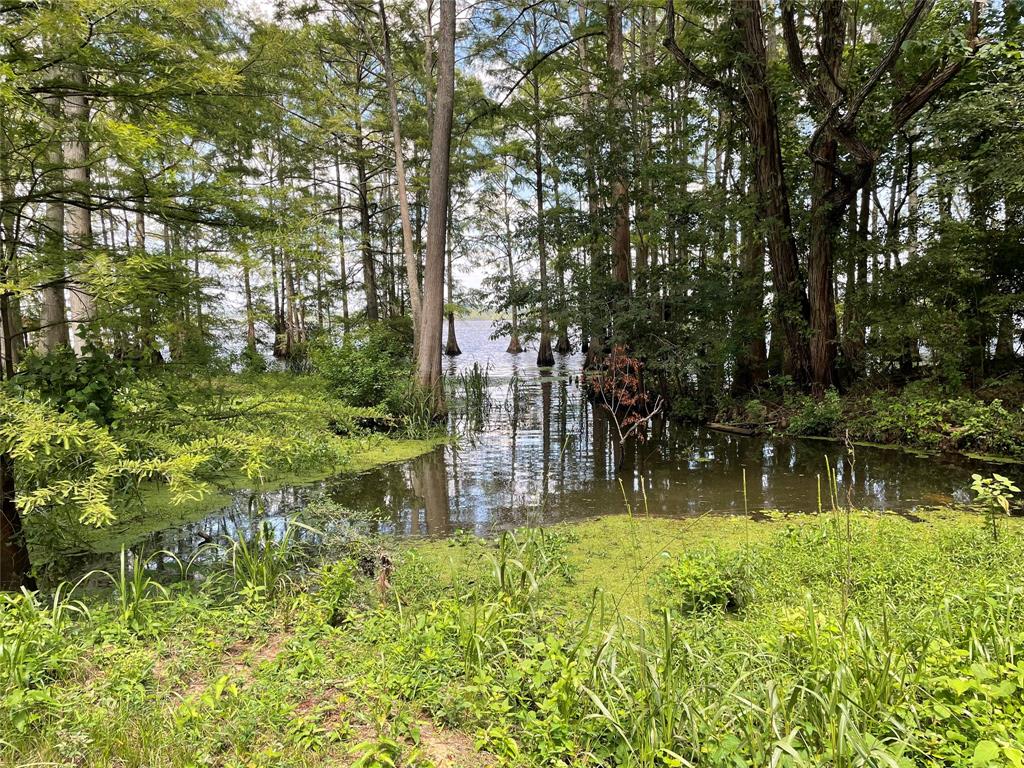 8451 Haphazard Road Property Photo