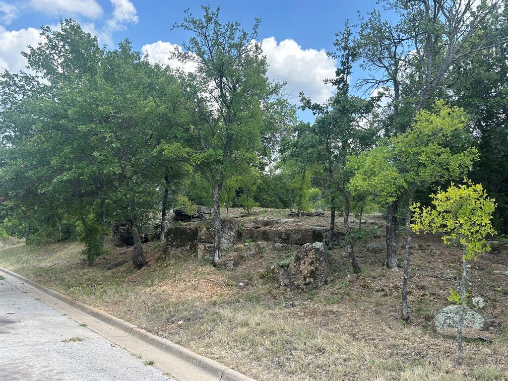 1406 Willow Wood Court Property Photo 1