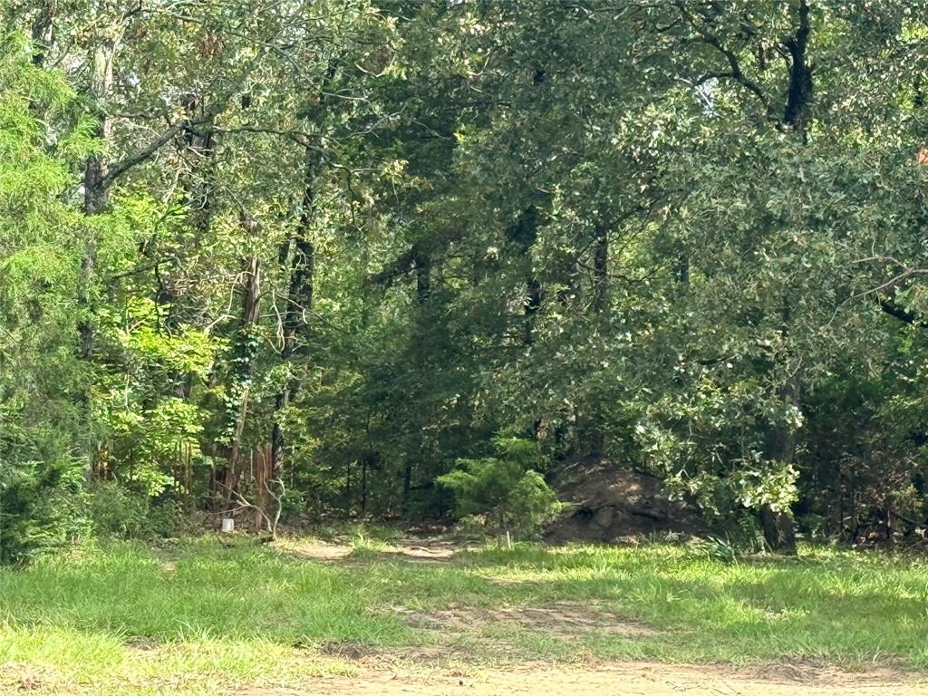 261 Vz County Road 1203 Property Photo 5