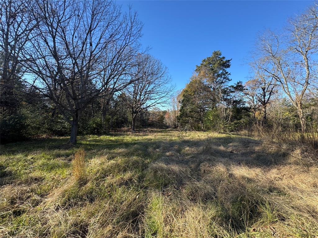 261 Vz County Road 1203 Property Photo 24