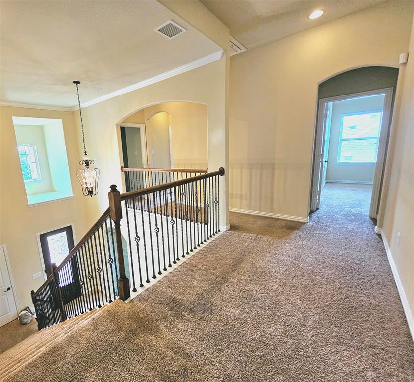 14229 Alis Lane Property Photo 26