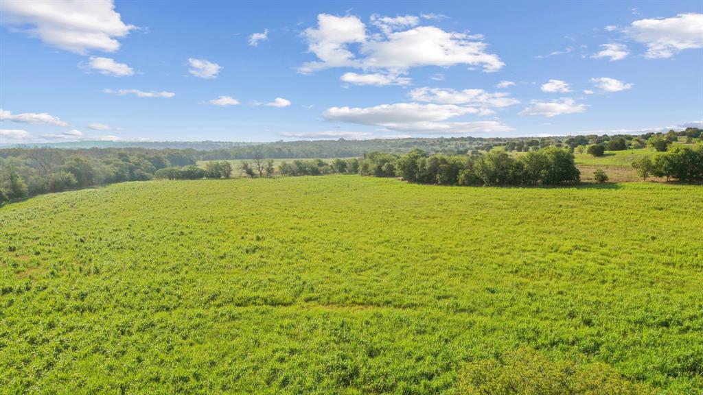 2296 County Road 290 Property Photo 14