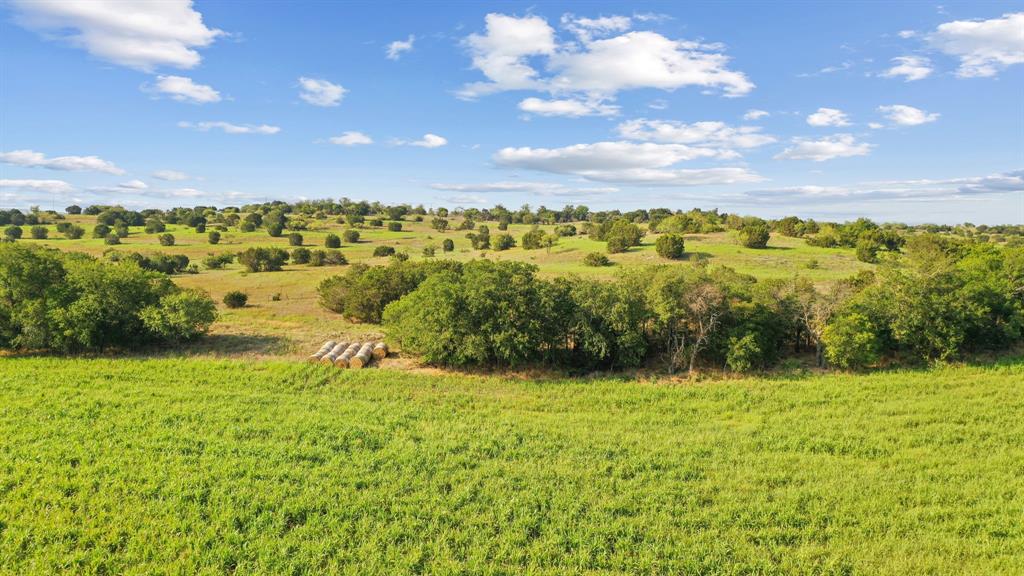 2296 County Road 290 Property Photo 15