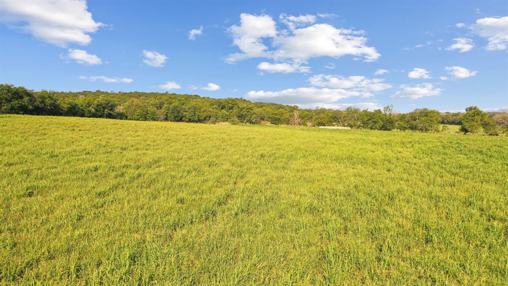 2296 County Road 290 Property Photo 16