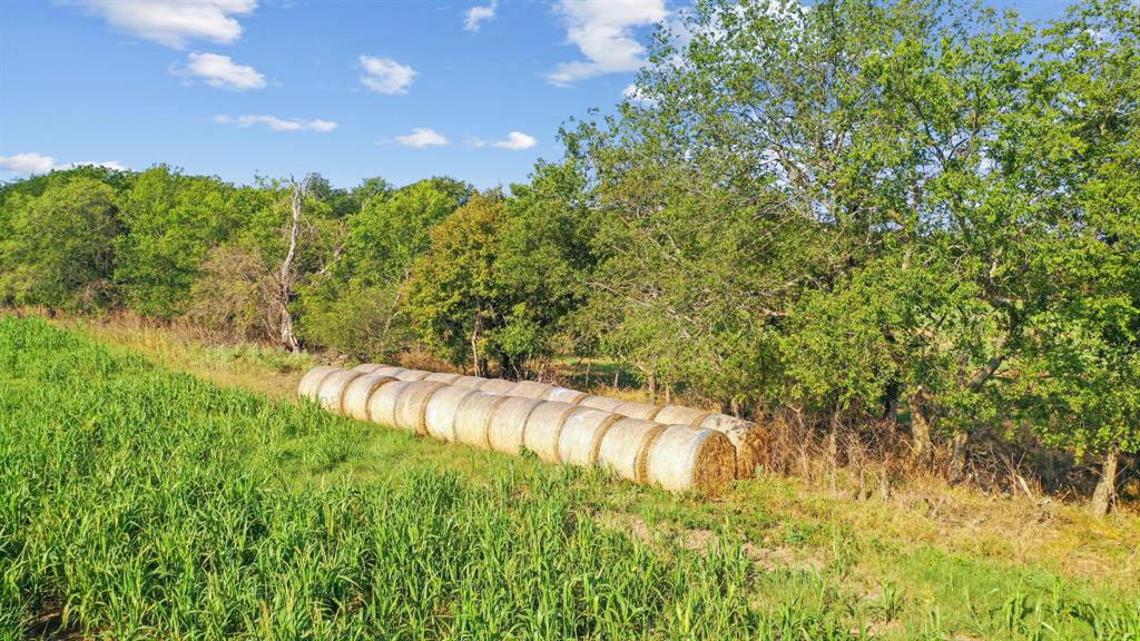 2296 County Road 290 Property Photo 31
