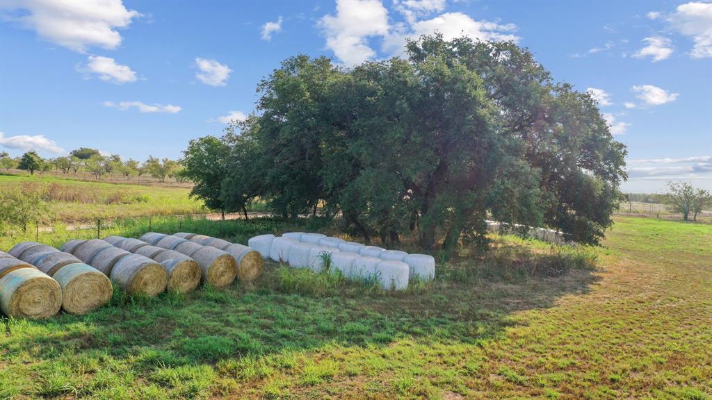 2296 County Road 290 Property Photo 33