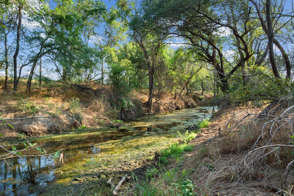 2296 County Road 290 Property Photo 35